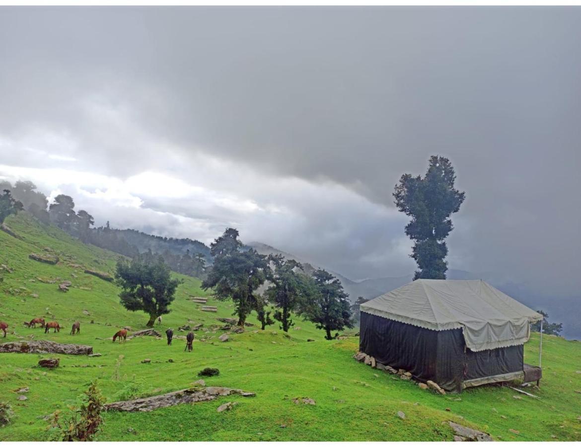 Chopta Wildlife Camps Resorts, Chopta Dış mekan fotoğraf