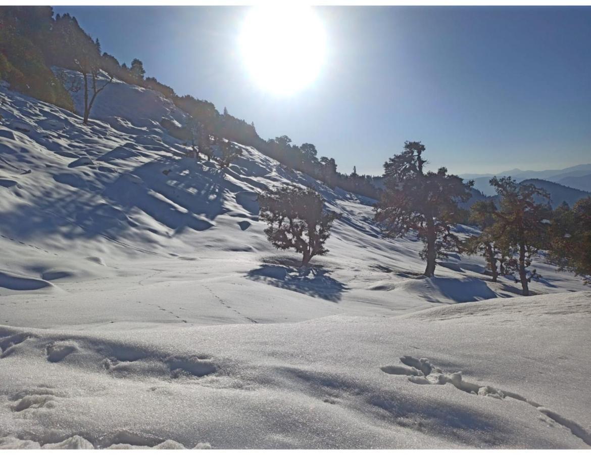 Chopta Wildlife Camps Resorts, Chopta Dış mekan fotoğraf