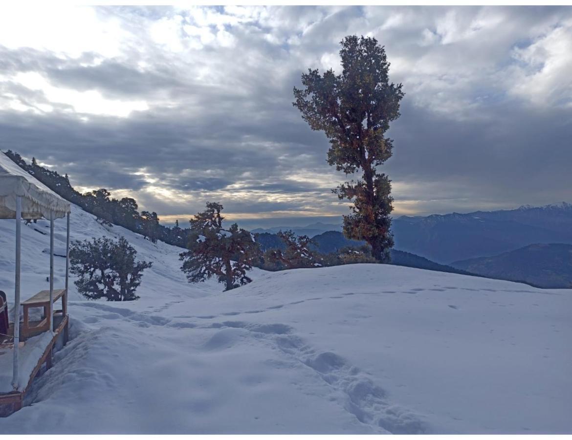 Chopta Wildlife Camps Resorts, Chopta Dış mekan fotoğraf