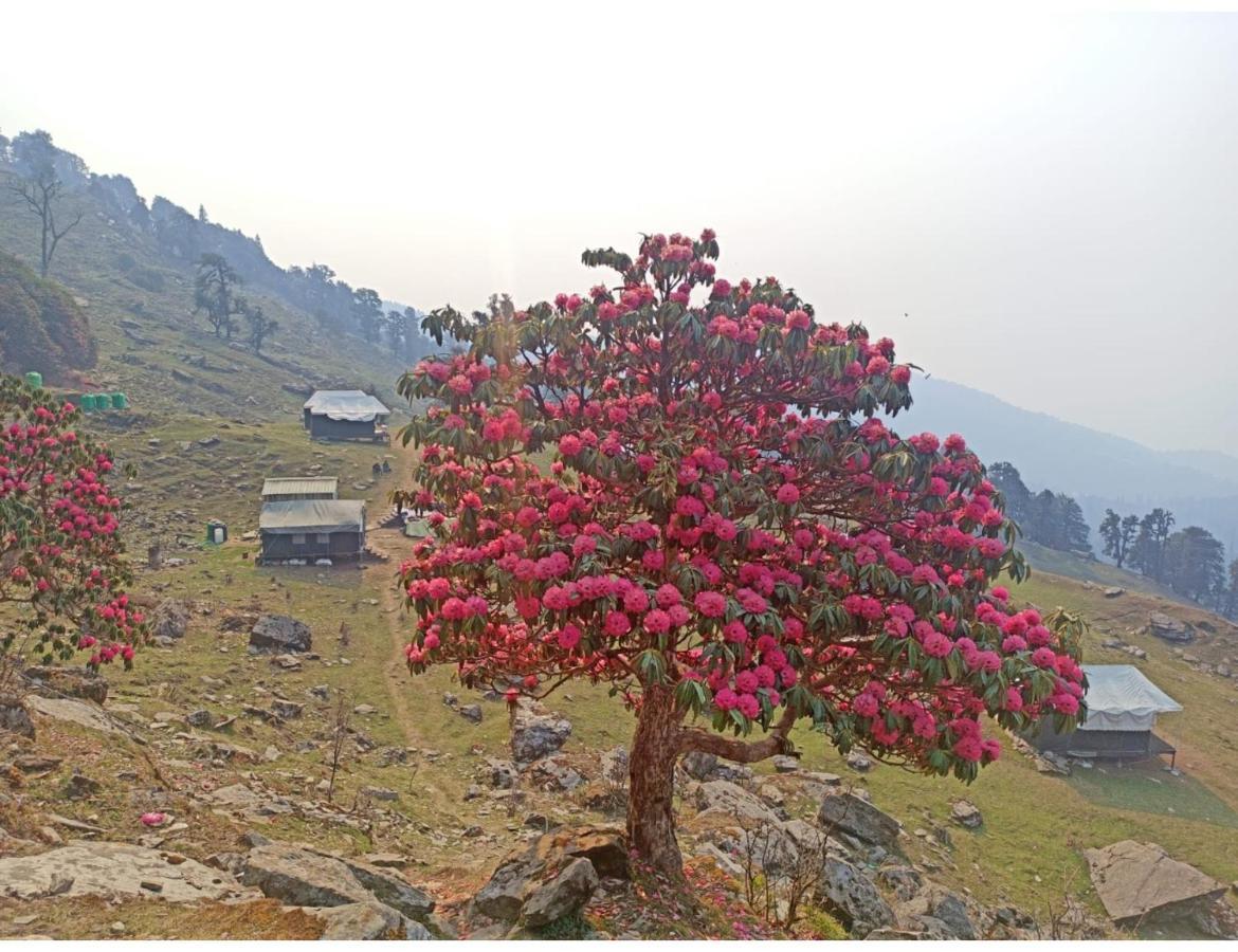 Chopta Wildlife Camps Resorts, Chopta Dış mekan fotoğraf
