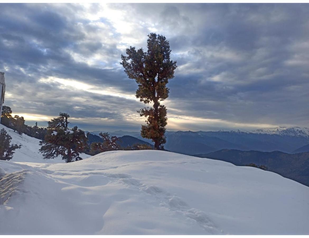 Chopta Wildlife Camps Resorts, Chopta Dış mekan fotoğraf